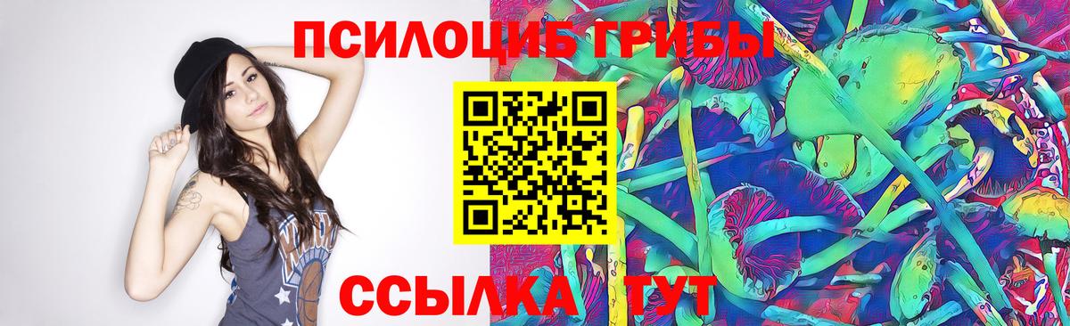 Псилоцибиновые грибы ЛСД Электрогорск
